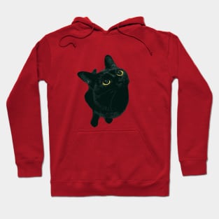 Shorthair Black Cat With Bright Yellow Eyes Looking Up Hoodie